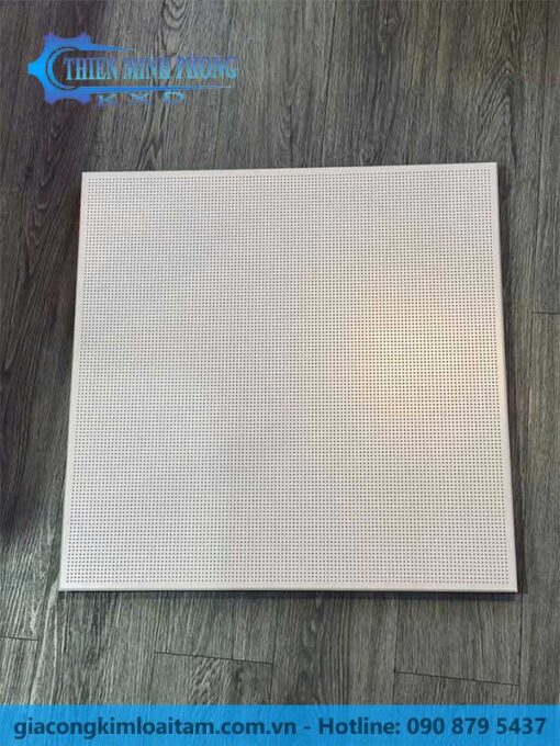 Tấm Kim Loại Dập Lỗ Tròn – Gia Công Theo Yêu Cầu | Thiên Minh Phong - Hình ảnh 2